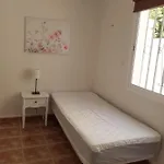 Rosa Villa Callao Salvaje